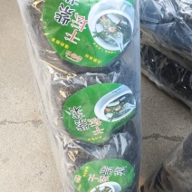 渤海湾紫菜，大量有货，欢迎来电选购
