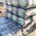 渤海湾紫菜，大量有货，欢迎来电选购