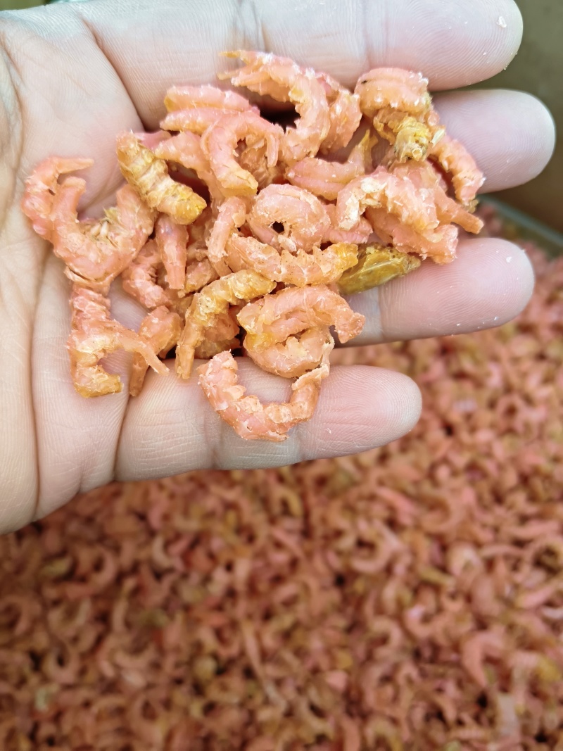 渤海湾低盐虾仁，大量供应，常年有货，欢迎来电