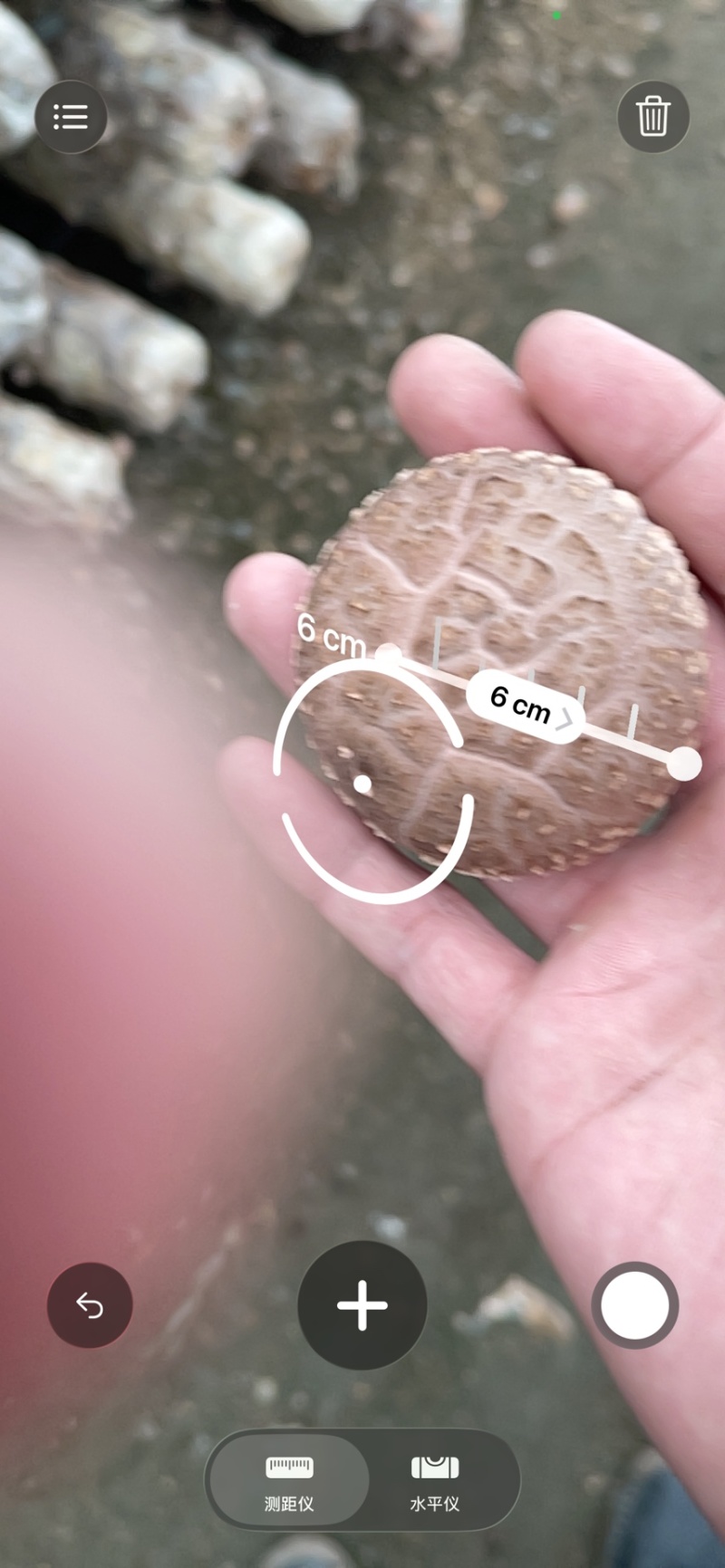 鲜香菇