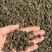 猫抓草大量现货野生猫抓草干净饱满无杂质大量现货供应无硫