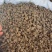 猫抓草大量现货野生猫抓草干净饱满无杂质大量现货供应无硫