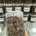 猫抓草大量现货野生猫抓草干净饱满无杂质大量现货供应无硫