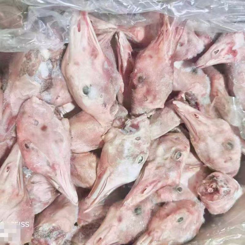 鹅头