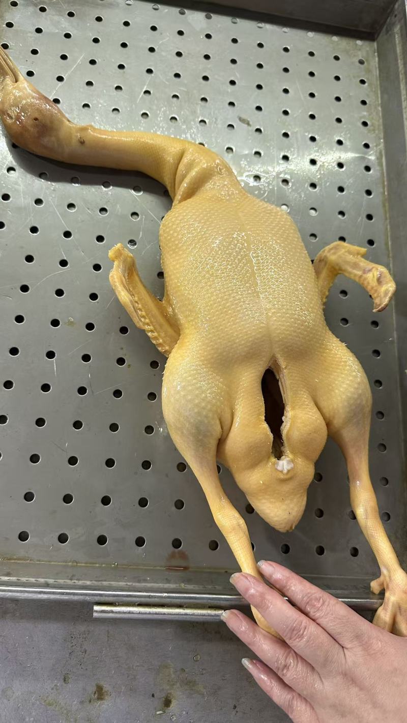 黄皮鸭