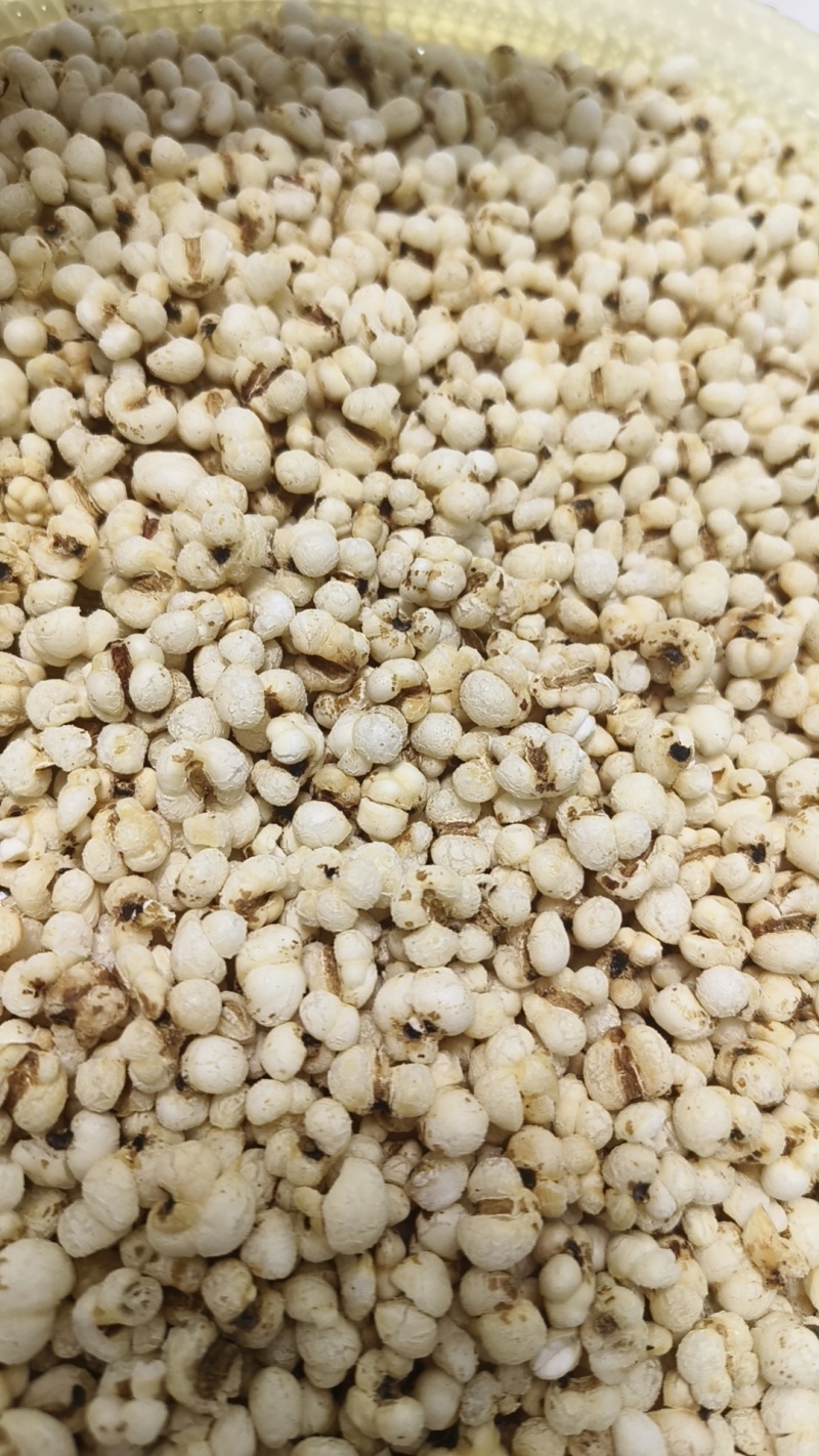 膨化炒薏仁，即食薏米，源头厂家直销价格便宜