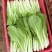 代收代办毛白菜快菜
