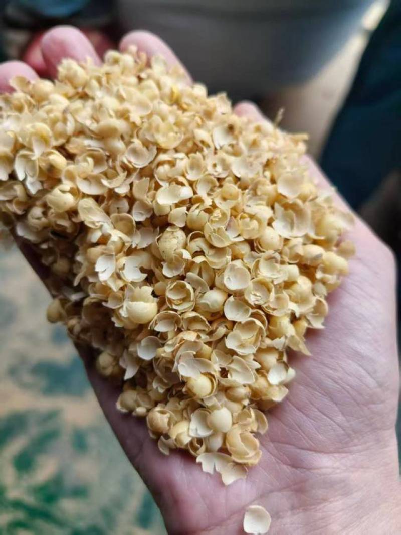 饲料原料大壳黄豆皮