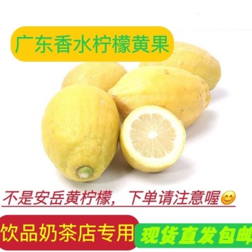 广东黄柠檬一二级承接各电商平台一件代发香水柠檬黄柠檬特价
