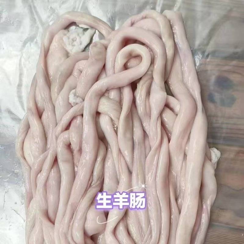 生羊肠