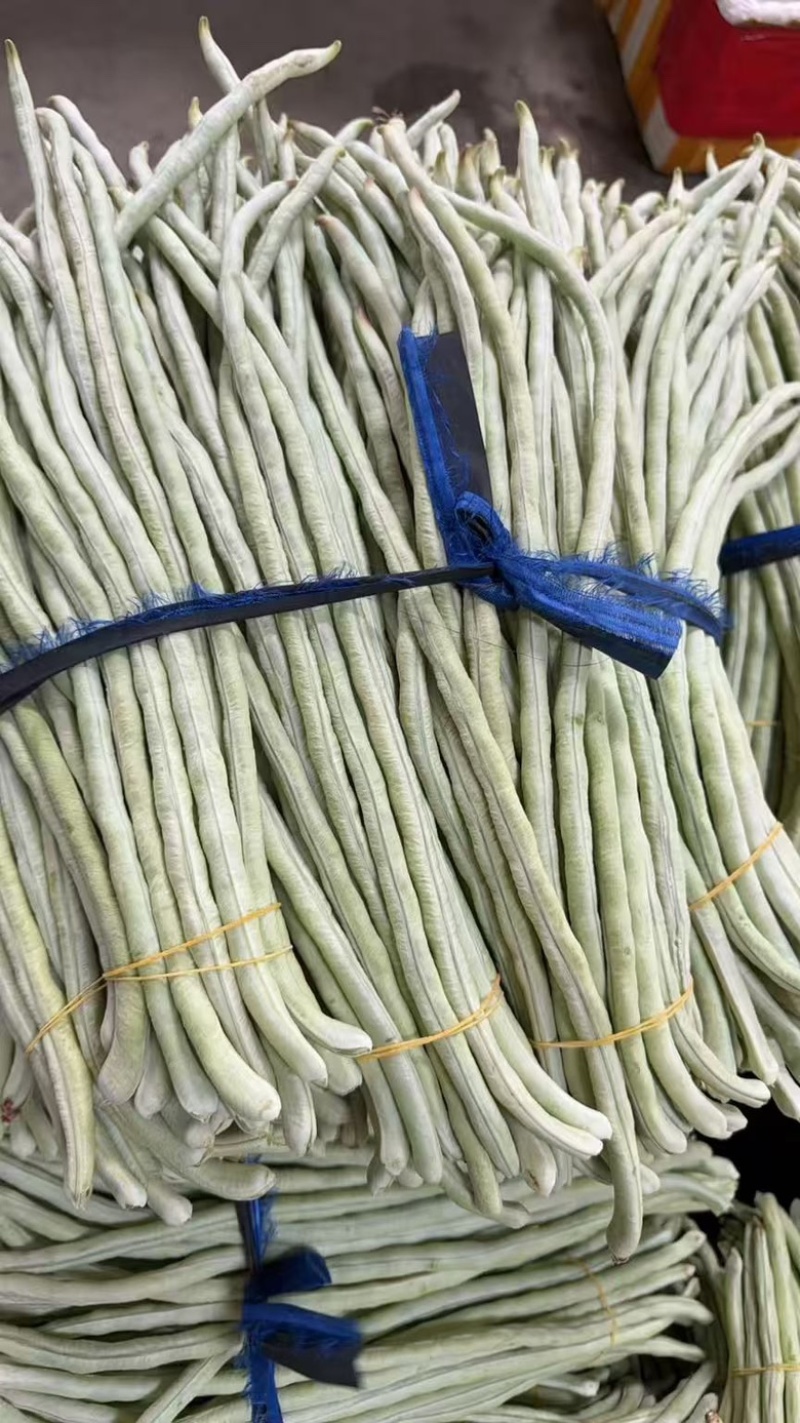 基地直发白豆角精品豇豆新鲜直达量大价优