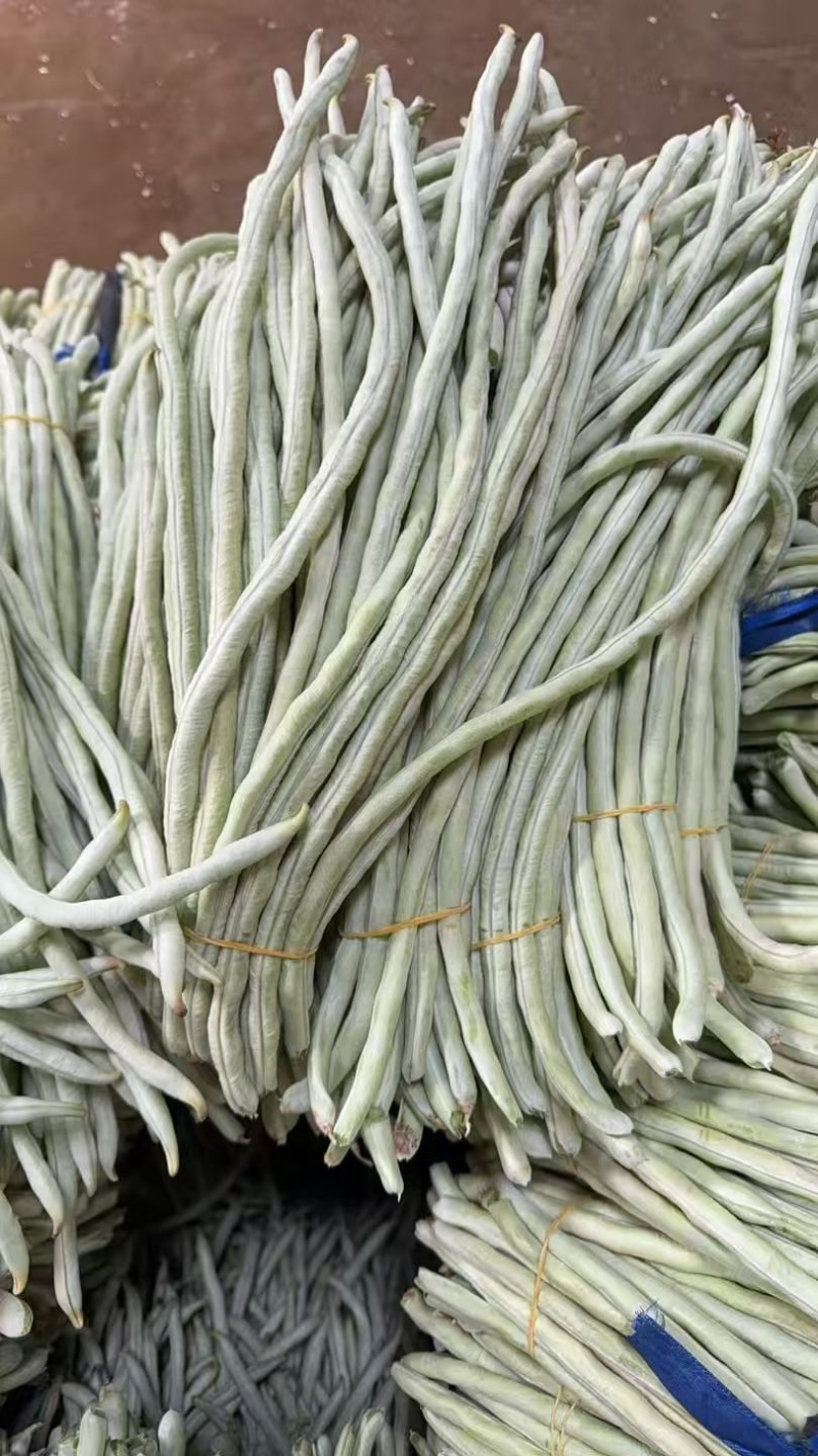 基地直发白豆角精品豇豆新鲜直达量大价优