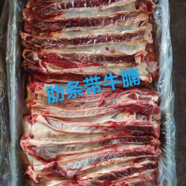 肋条带牛腩