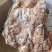 去骨八成熟羊肉品质保证一手货源冷链发货