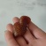鸡宝