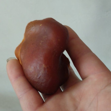 鸡宝