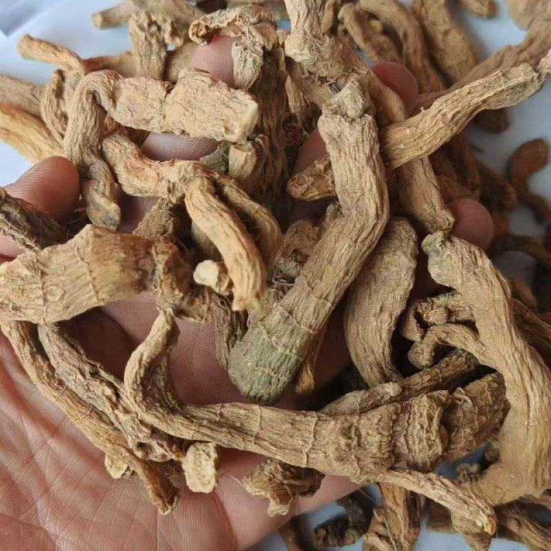玉竹条