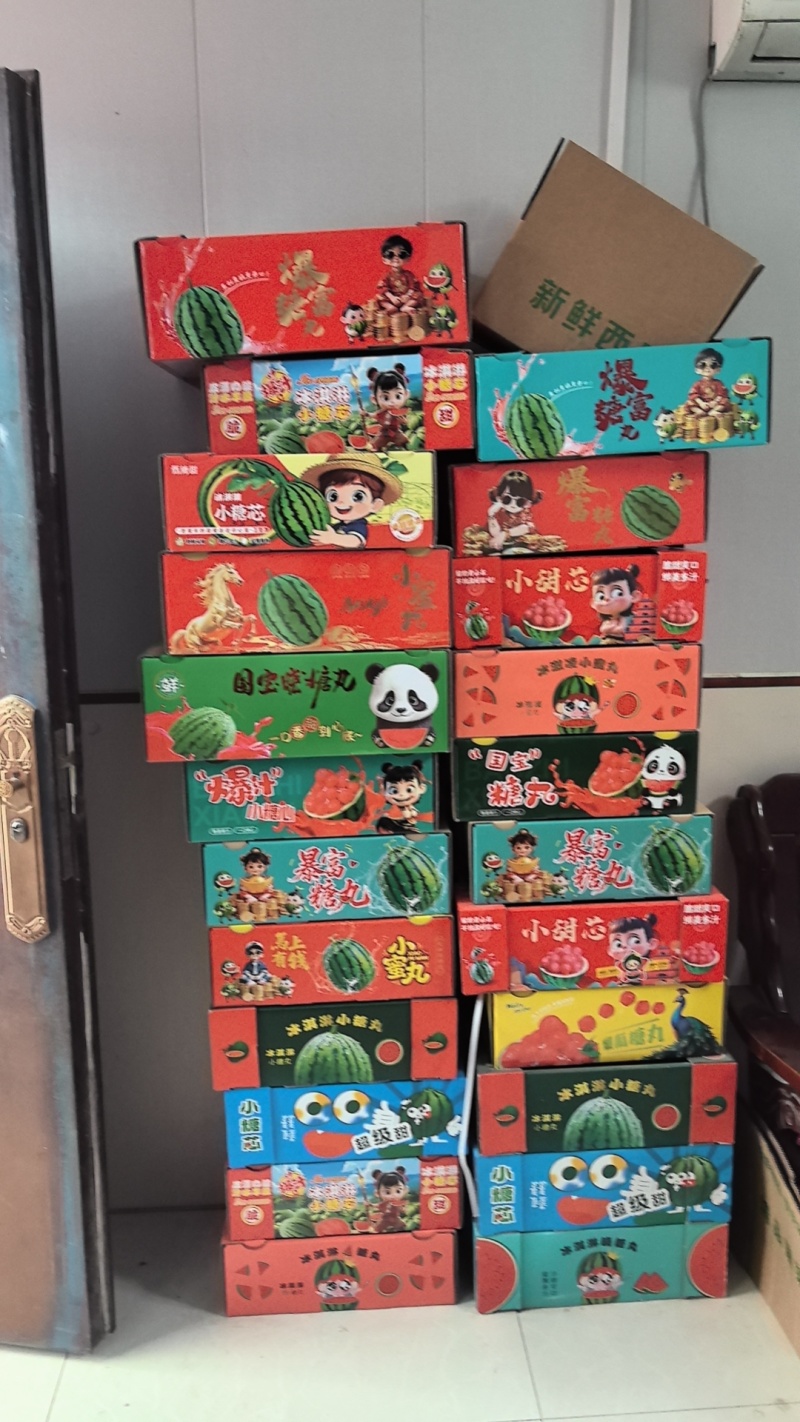 早春红玉西瓜一手货源产地直销市场货电商货