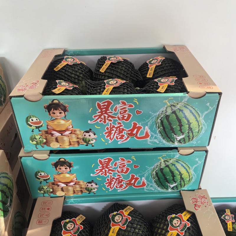 早春红玉西瓜一手货源产地直销市场货电商货