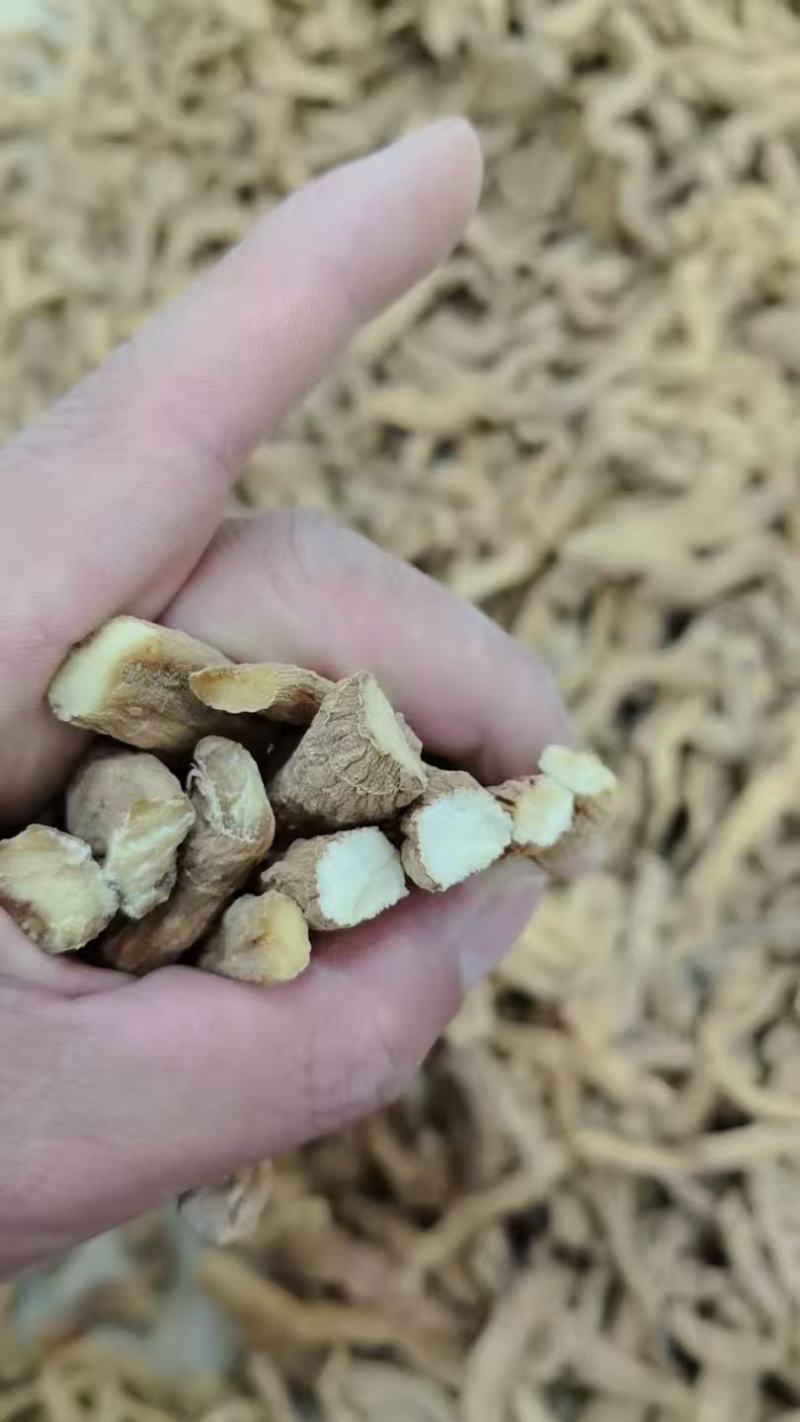 玉竹条