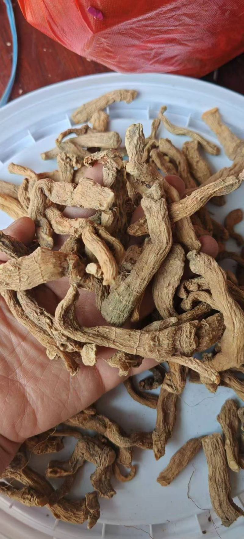 玉竹条