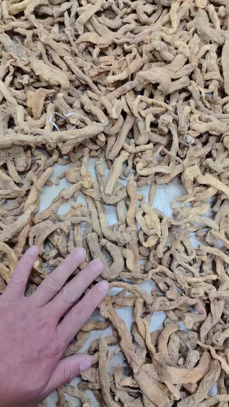 玉竹条