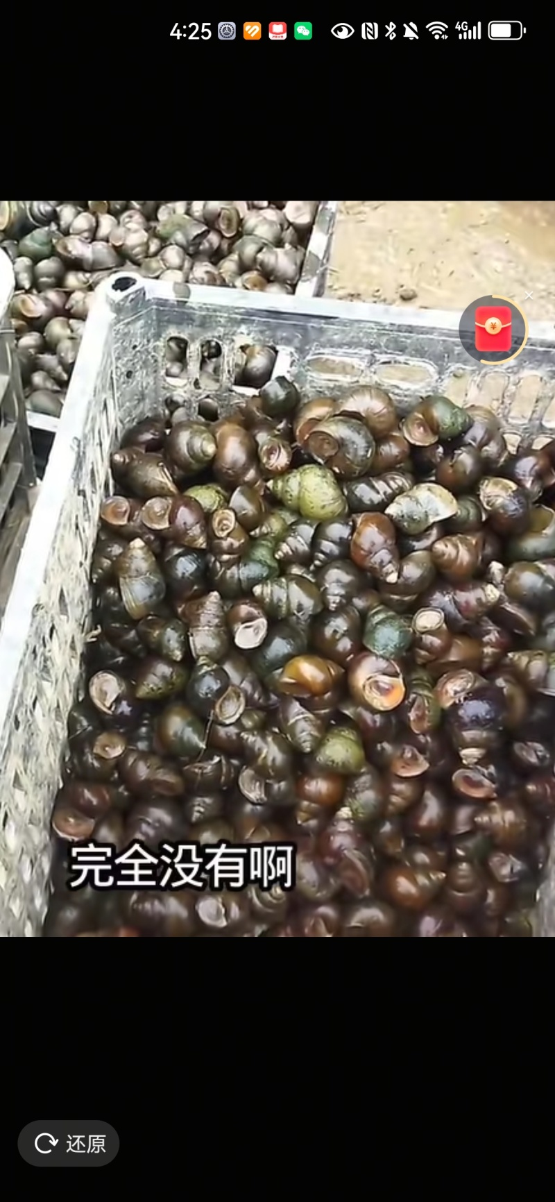 田螺
