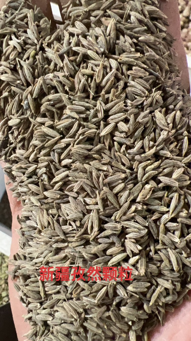 包邮精品新疆孜然颗粒新疆孜然粉定制打粉粗细