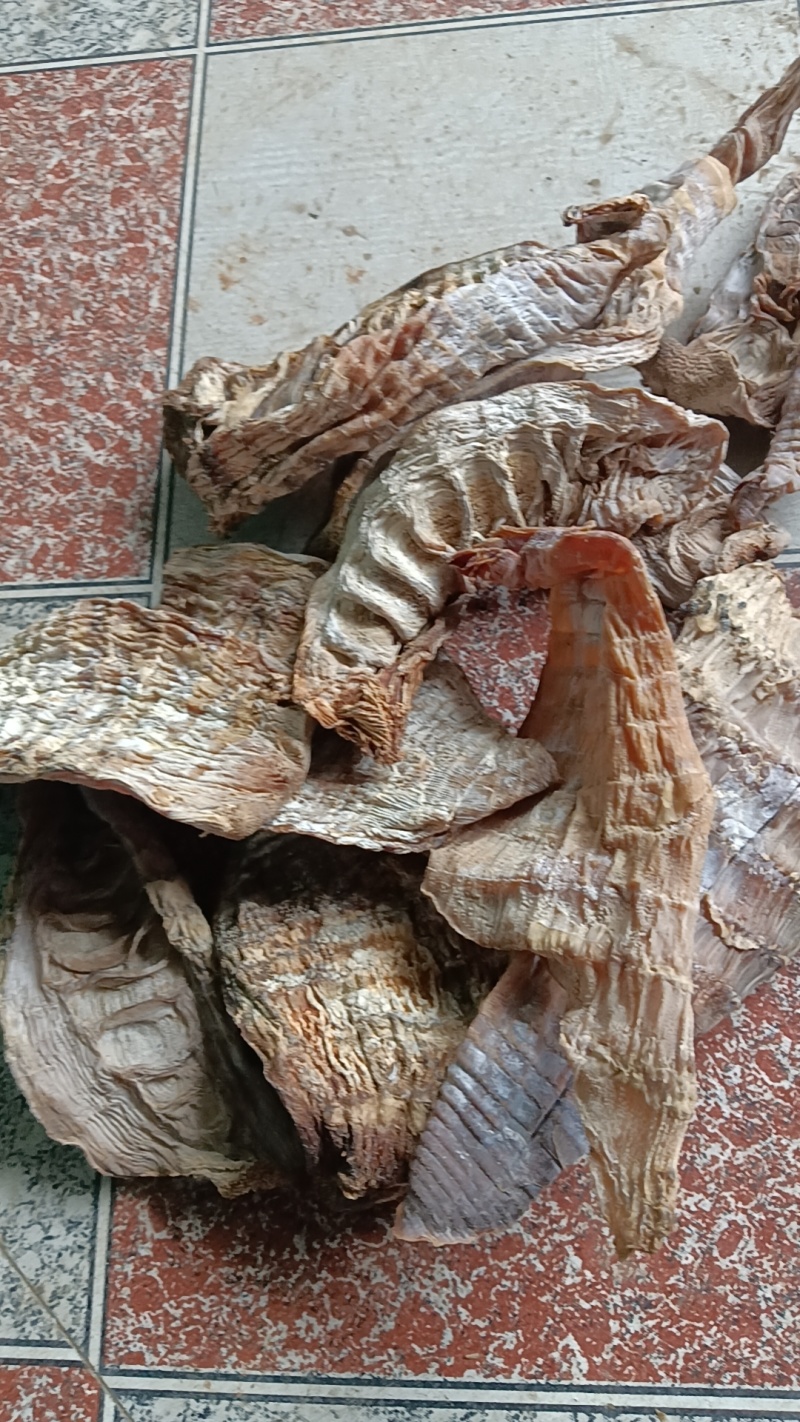 笋干