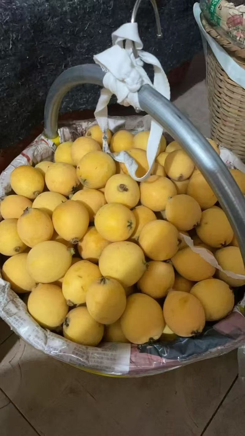 白玉枇杷
