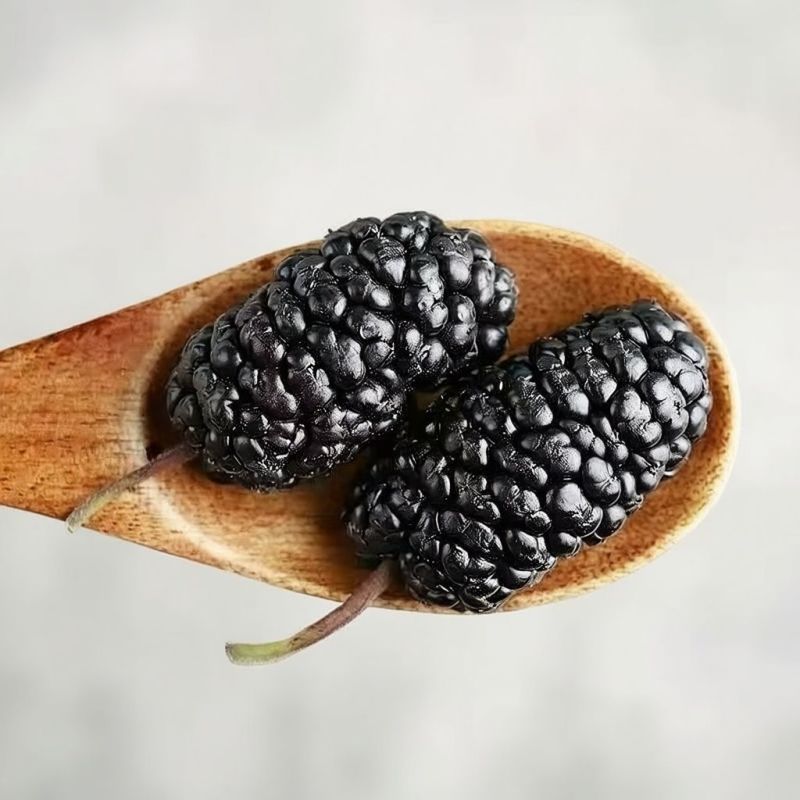 桑葚干【新货】新疆特产吐鲁番桑葚果干黑桑葚干批发
