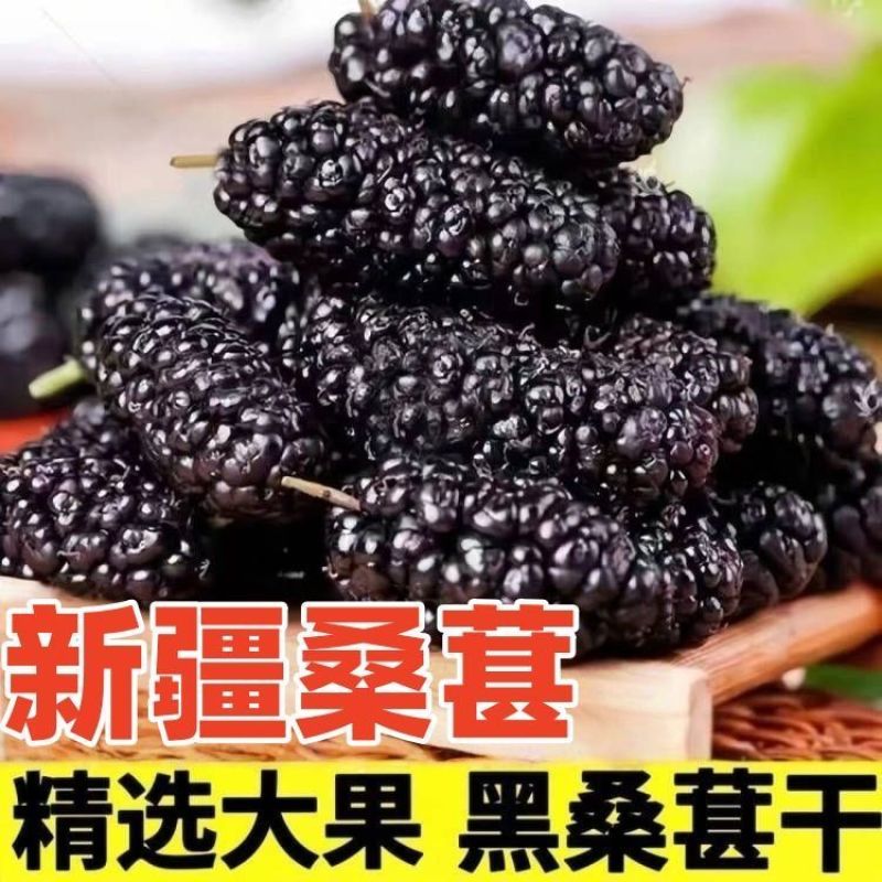 桑葚干【新货】新疆特产吐鲁番桑葚果干黑桑葚干批发