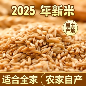 黑龙江燕麦米新米杂粮农家胚芽裸燕麦自产去皮小麦仁粗粮胚芽