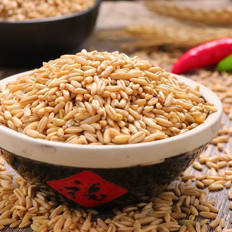 黑龙江燕麦米新米杂粮农家胚芽裸燕麦自产去皮小麦仁粗粮胚芽