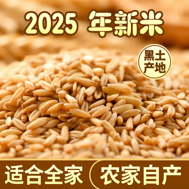 黑龙江燕麦米新米杂粮农家胚芽裸燕麦自产去皮小麦仁粗粮胚芽