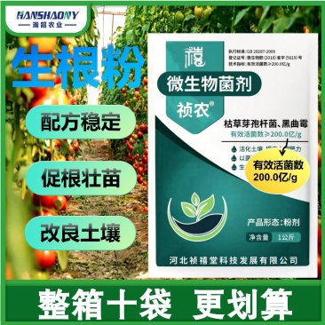 微生物菌剂农用活菌肥改良土壤生根壮苗瓜果蔬菜大田通用菌肥