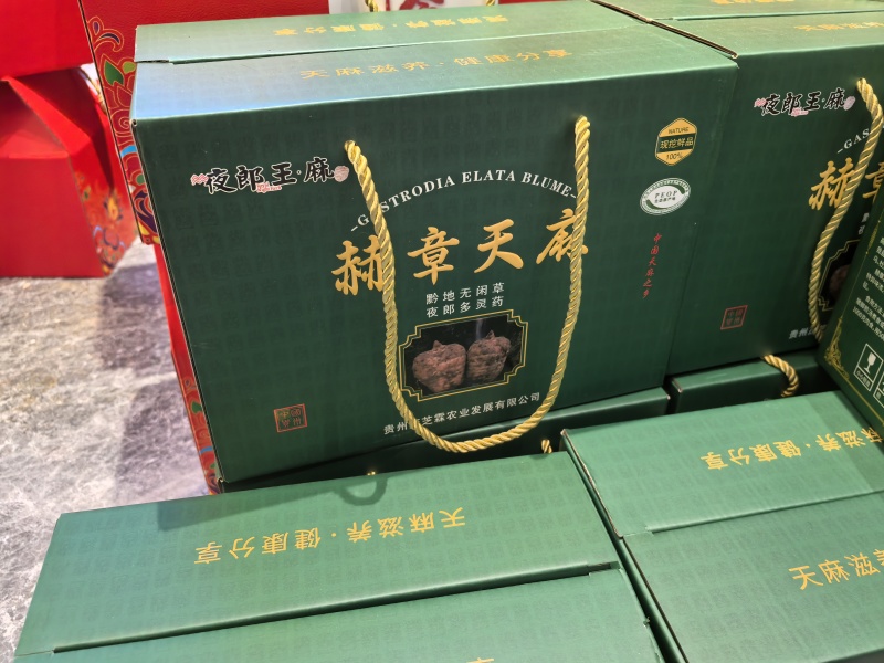 贵州赫章乌天麻海拔2000米以上高山乌天麻鲜天麻干天麻个