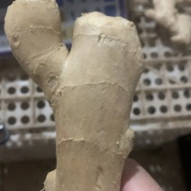 电商姜巴可以一件代发需要联系价格可聊