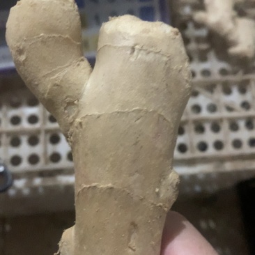 电商姜巴可以一件代发需要联系价格可聊