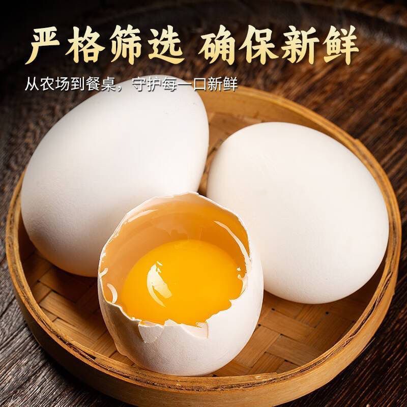 新鲜鹅蛋散养小白鹅农家初生孕妇宝宝喂养现发草窝批发整箱