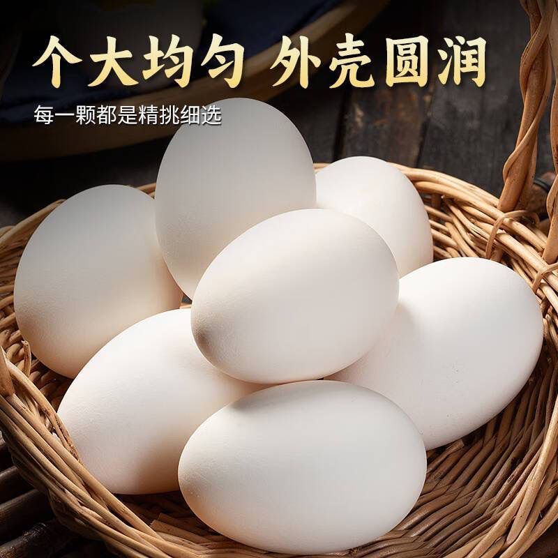 新鲜鹅蛋散养小白鹅农家初生孕妇宝宝喂养现发草窝批发整箱