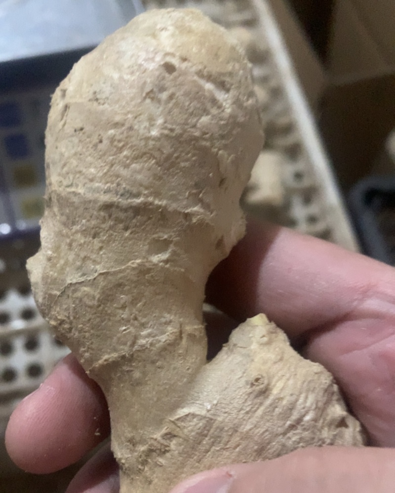 电商姜巴可以一件代发需要联系价格可聊
