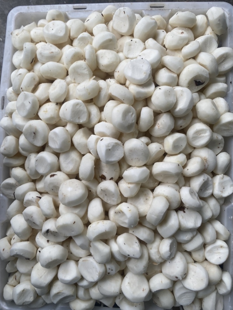 现削去皮马蹄荸荠，无泡水.商超品质.精工去皮