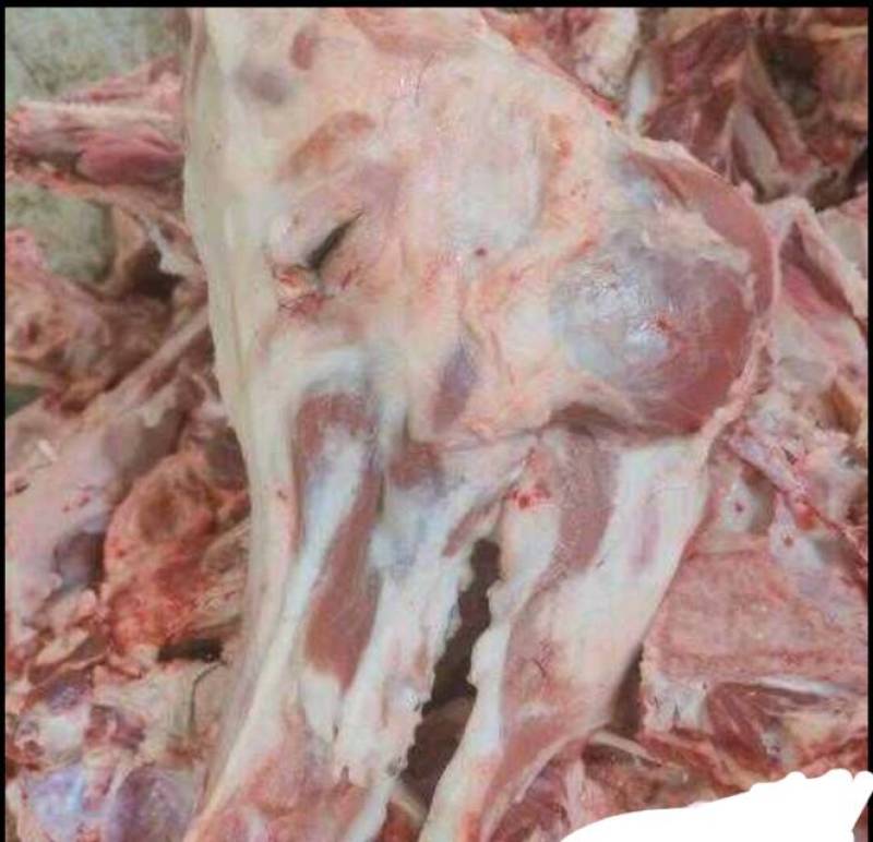 去皮猪头剔骨肉
