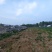 养鹅场地出租，还有两个鱼池养殖种植都可以有需要的联系
