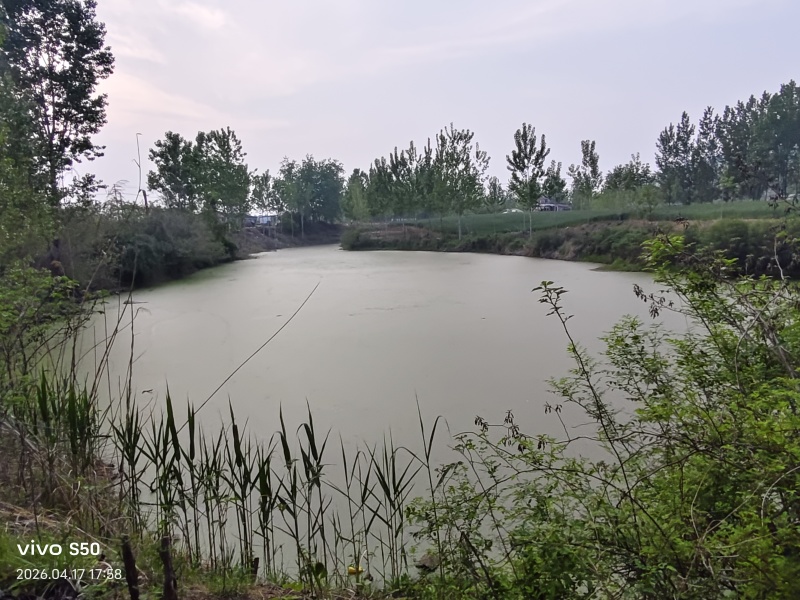 养鹅场地出租，还有两个鱼池养殖种植都可以有需要的联系