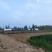 养鹅场地出租，还有两个鱼池养殖种植都可以有需要的联系