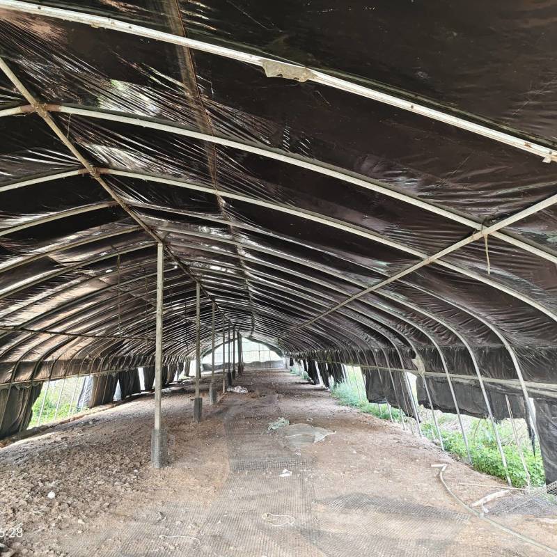 养鹅场地出租，还有两个鱼池养殖种植都可以有需要的联系