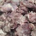 牛熟剔骨肉，牛杂