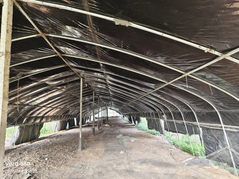 养鹅场地出租，还有两个鱼池养殖种植都可以有需要的联系